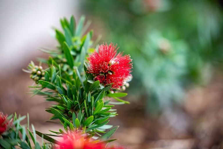 Photo of property in 1307 Victoria Street, Beerescourt, Hamilton, 3200