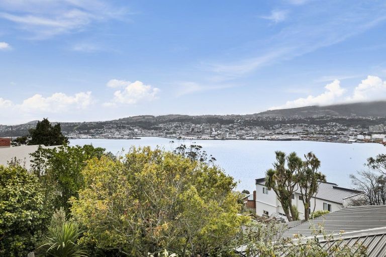 Photo of property in 10 Shandon Road, Vauxhall, Dunedin, 9013