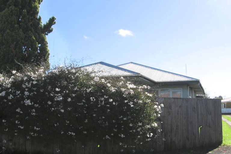 Photo of property in 225 Fifteenth Avenue, Tauranga South, Tauranga, 3112