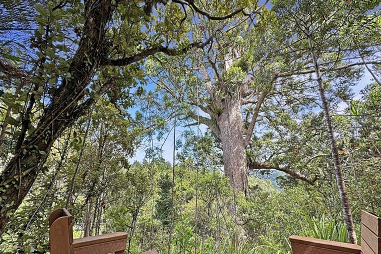 Photo of property in 144 Opanuku Road, Henderson Valley, Auckland, 0612