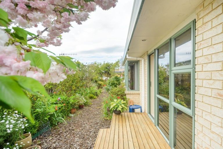 Photo of property in 144 Manchester Street, Feilding, 4702