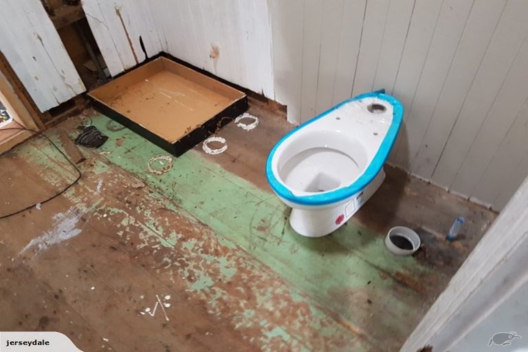 Photo of property in 42 Cardiff Road, Cardiff, Stratford, 4391