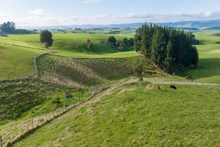 Photo of property in 791 Wyndham Letterbox Road, Glenham, Wyndham, 9891