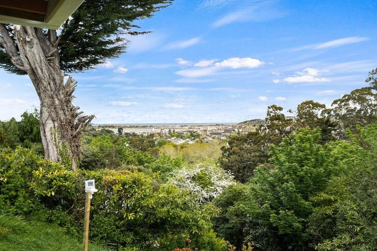 Photo of property in 12 Harold Street, North East Valley, Dunedin, 9010