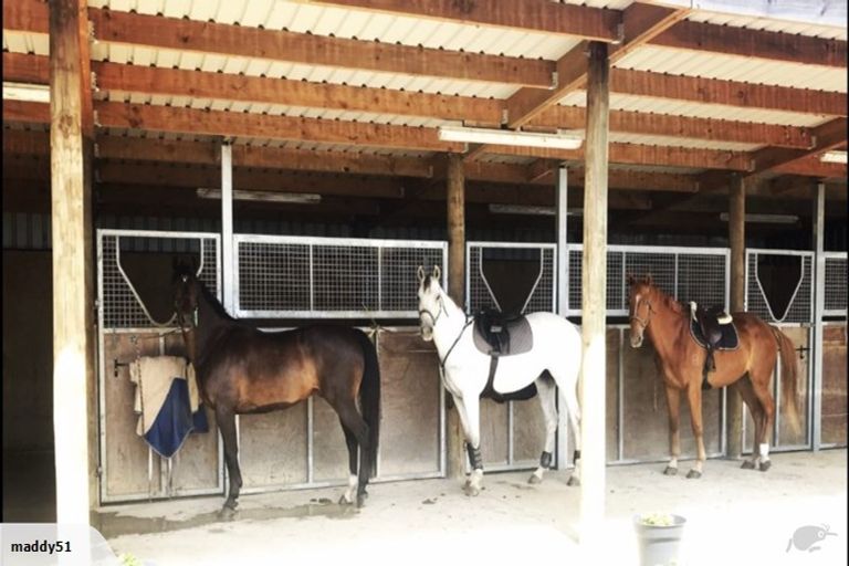 Photo of property in 149 Wright Road, Waiau Pa, Pukekohe, 2679