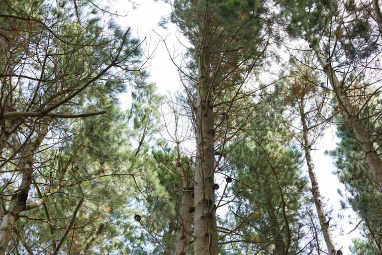 Photo of property in 57 Fitzherbert East Road, Aokautere, Palmerston North, 4471