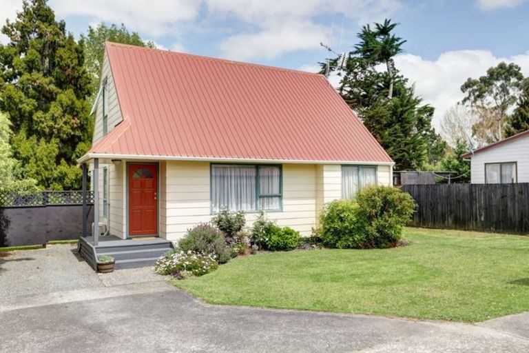 Photo of property in 63 Rimu Street, Maeroa, Hamilton, 3200