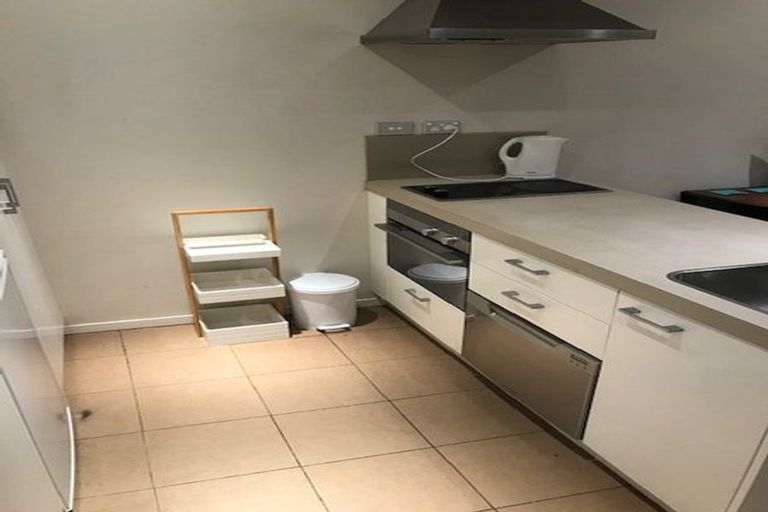 Photo of property in Soho Apartments, 507/74 Taranaki Street, Te Aro, Wellington, 6011