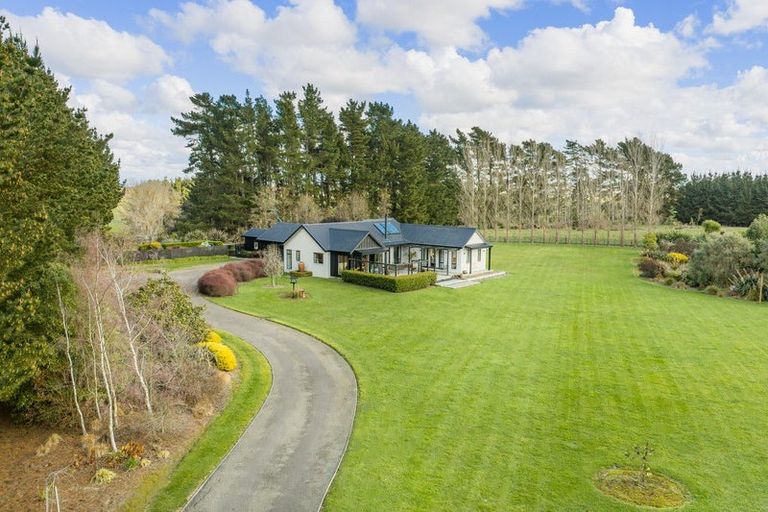 Photo of property in 155b Halcombe Road, Feilding, 4775