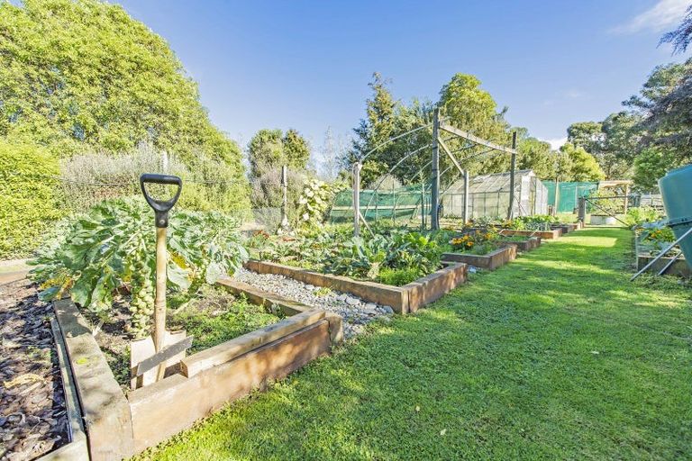 Photo of property in 14 Bealey Road, Leeston, 7683