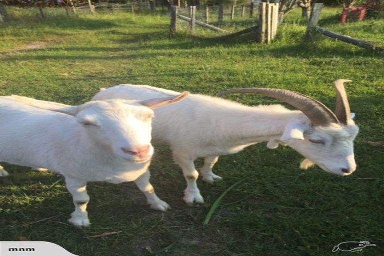 Photo of property in 364 Maniatutu Road, Okere Falls, Rotorua, 3074