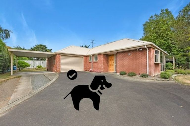 Photo of property in 8 Appaloosa Avenue, Richmond, 7020