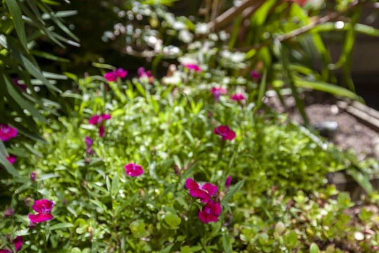 Photo of property in 5a Willow Grove, Raumati Beach, Paraparaumu, 5032