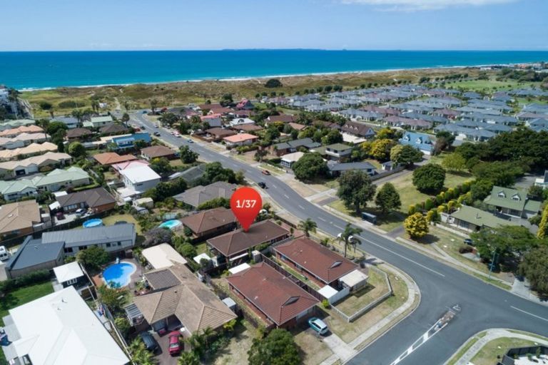 Photo of property in 1/37 Sunrise Avenue, Mount Maunganui, 3116