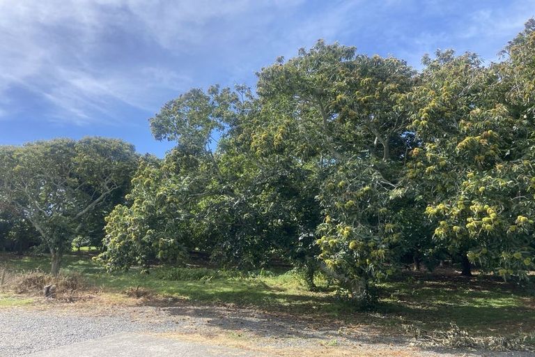 Photo of property in 49 Bridge Street, Otaua, Waiuku, 2682