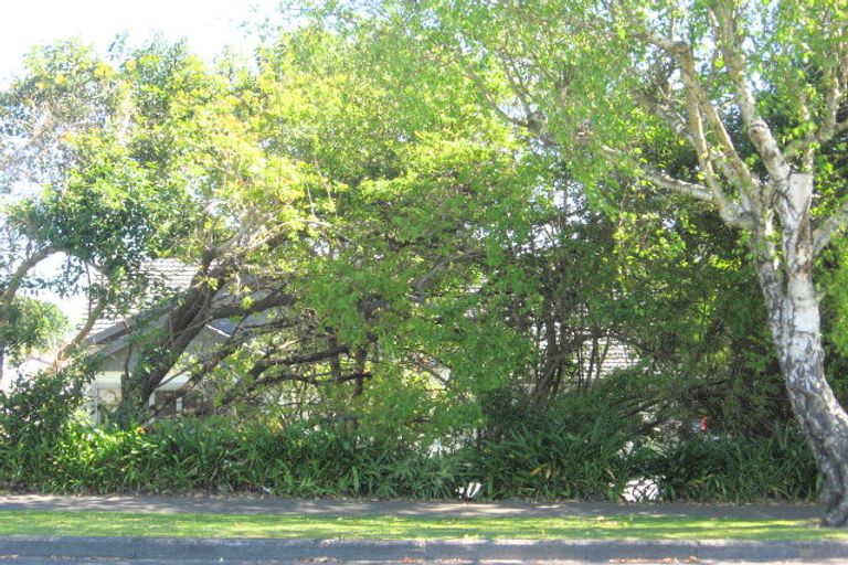 Photo of property in 80 Stout Street, Whataupoko, Gisborne, 4010