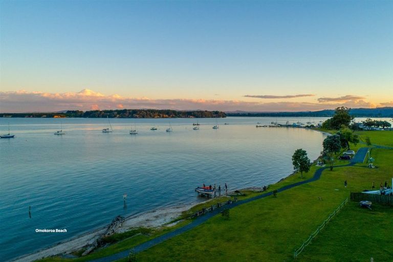 Photo of property in 19 Hamurana Road, Omokoroa, 3114