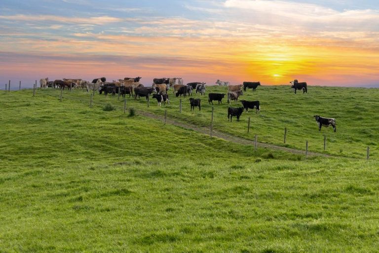 Photo of property in 122 Evans Road, Papamoa Beach, Papamoa, 3118