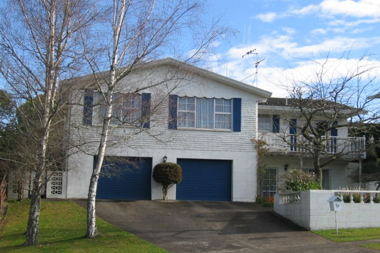 Photo of property in 17 Maple Avenue, Dinsdale, Hamilton, 3204