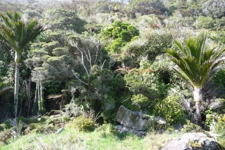 Photo of property in 5924 State Highway 6, Fox River, Punakaiki, 7871