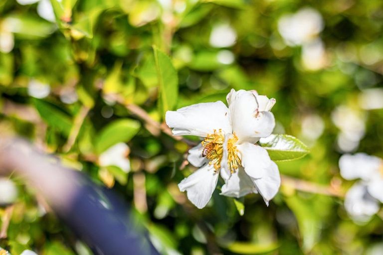 Photo of property in 55a Stanley Street, Wainuiomata, Lower Hutt, 5014