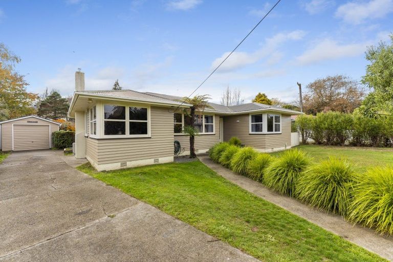 Photo of property in 17 Hobson Street, Levin, 5510