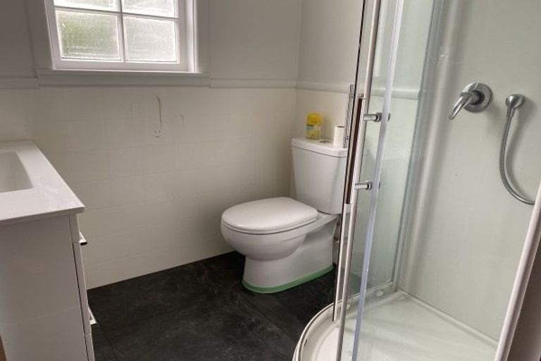 Photo of property in 78 Guy Avenue, Takaro, Palmerston North, 4410