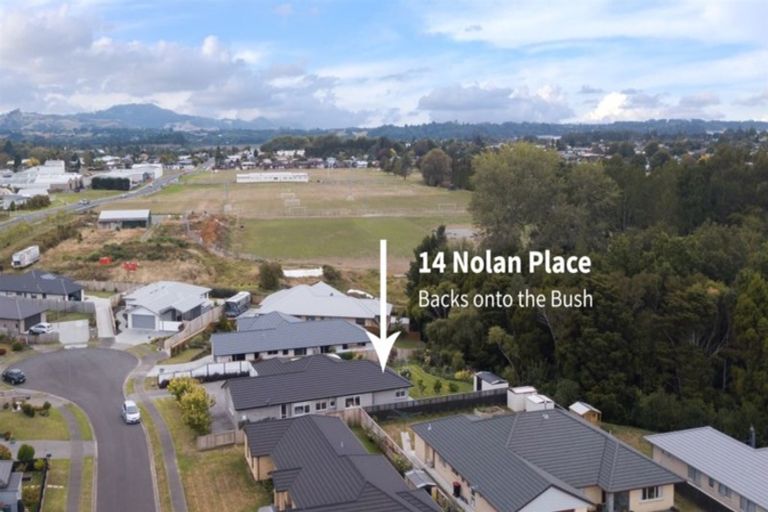 Photo of property in 14 Nolan Place, Katikati, 3129