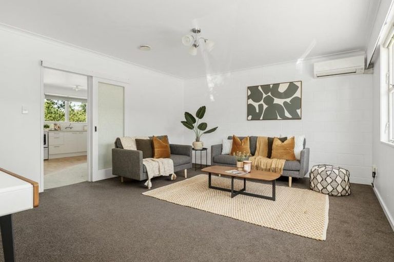 Photo of property in 44 Seventeenth Avenue, Tauranga South, Tauranga, 3112