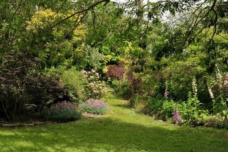 Photo of property in 669 Whitstone-five Forks Road, Five Forks, Oamaru, 9492