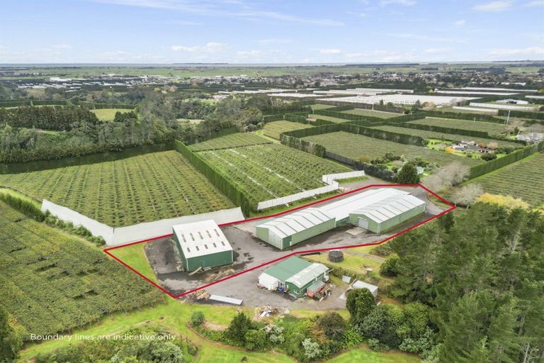 Photo of property in 288a No 3 Road, Te Puke, 3183