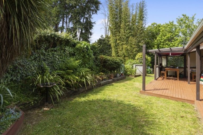 Photo of property in 42a Collingwood Street, Judea, Tauranga, 3110