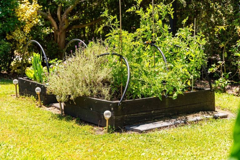 Photo of property in 70 Jack Boyd Drive, Mangawhai Heads, Kaiwaka, 0573