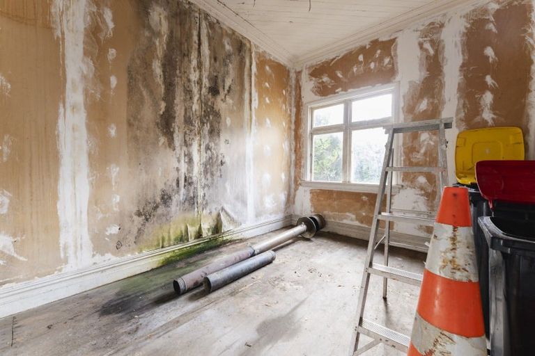 Photo of property in 63 Mailer Street, Mornington, Dunedin, 9011