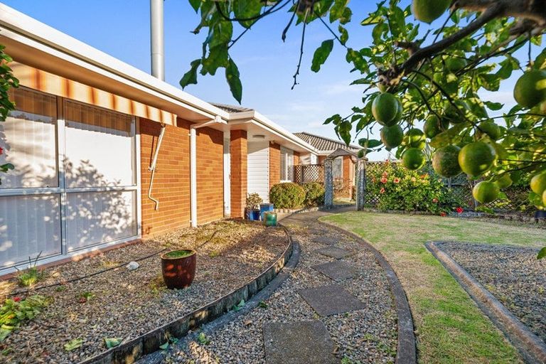 Photo of property in 5 Bayfair Drive, Mount Maunganui, 3116