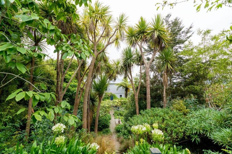 Photo of property in 61 Cannington Road, Maori Hill, Dunedin, 9010