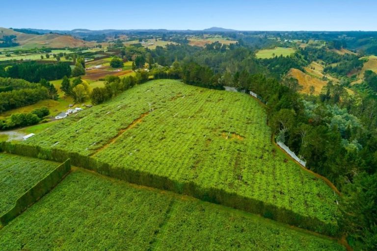 Photo of property in 37 Jacks Lane, Oropi, Tauranga, 3173