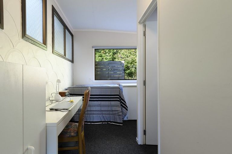 Photo of property in 313 Youngson Road, Whakamarama, Tauranga, 3179