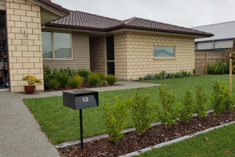 Photo of property in 12 Te Ranga Memorial Drive, Pyes Pa, Tauranga, 3112