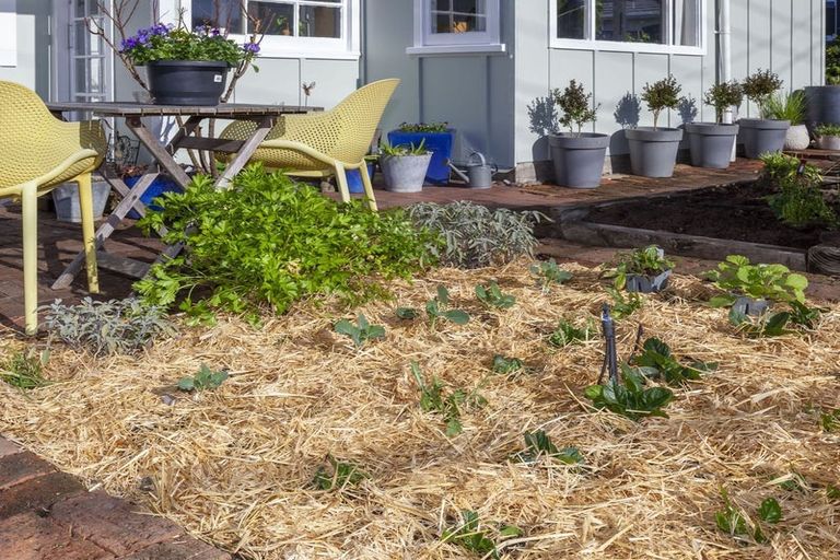 Photo of property in 56 Poplar Avenue, Raumati South, Paraparaumu, 5032