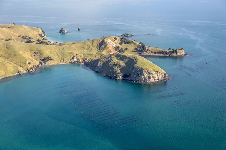 Photo of property in 1613 Manaia Road, Manaia, Coromandel, 3581