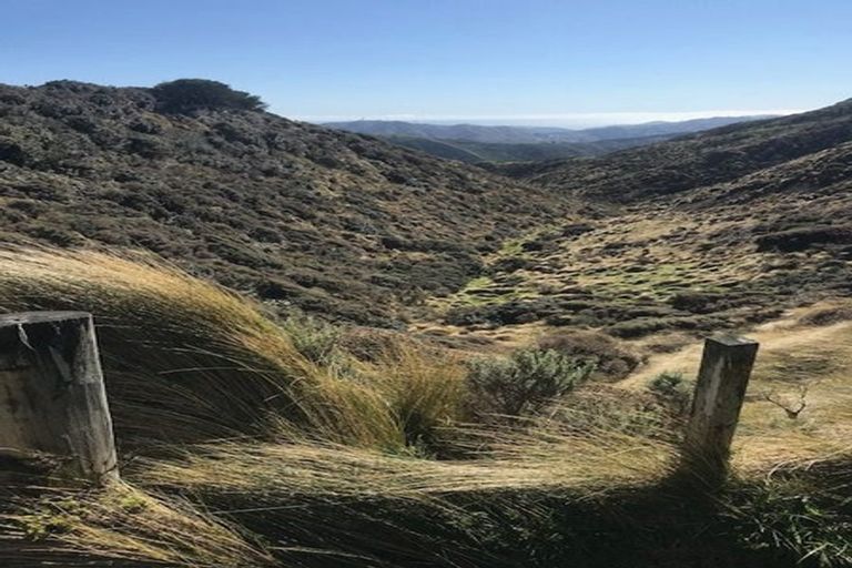 Photo of property in Long Gully Farm, 500 Hawkins Hill Road, Brooklyn, Wellington, 6021