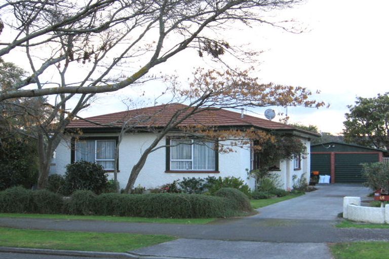 Photo of property in 46 Guy Avenue, Takaro, Palmerston North, 4410