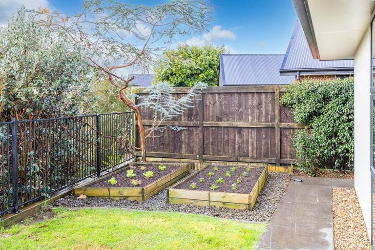 Photo of property in 12 Kentwood Place, Flagstaff, Hamilton, 3210