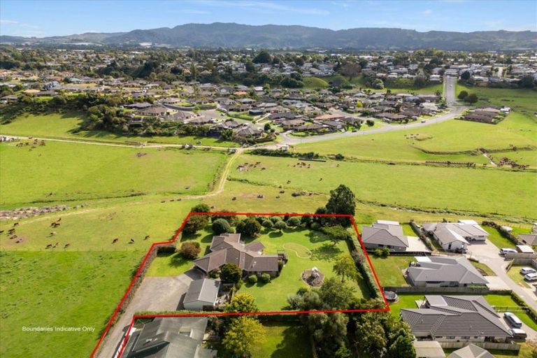 Photo of property in 31 No 1 Road, Te Puke, 3119