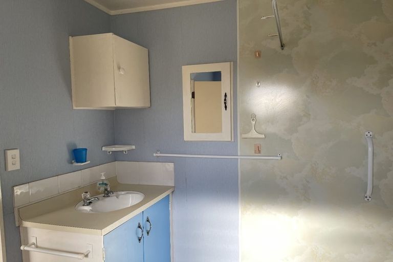 Photo of property in 16b Mako Mako Road, Levin, 5510