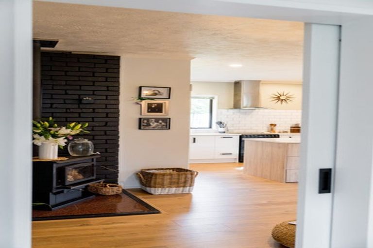 Photo of property in 162 Somerville Street, Waverley, Dunedin, 9013