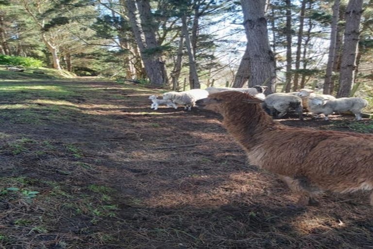 Photo of property in 71 Holmwood Road, Kaitoke, Whanganui, 4572