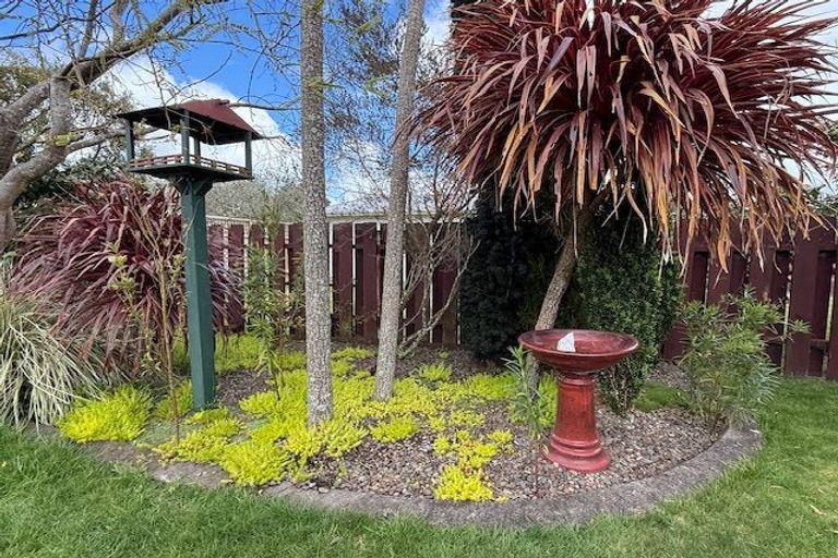 Photo of property in 96 Fitzroy Avenue, Fitzroy, Hamilton, 3206