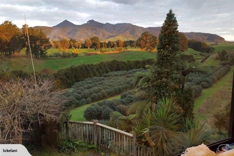 Photo of property in 12 Kaitake Place, Oakura, 4314